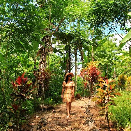 Natura Gardens Galapagos Bellavista  Zewnętrze zdjęcie